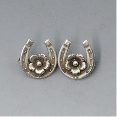 NE From Horseshoe Brooch